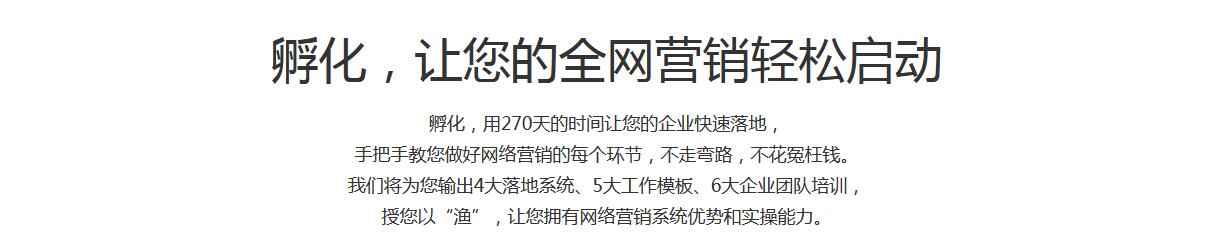 孵化代運營